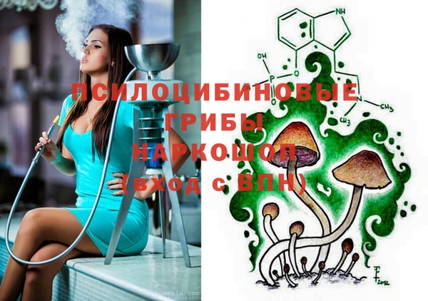 ешки Волоколамск