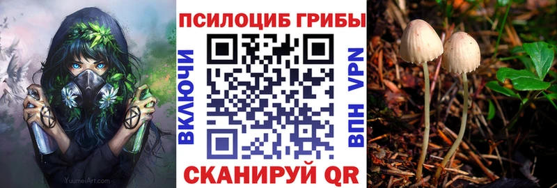 Галлюциногенные грибы MAGIC MUSHROOMS  Липки 